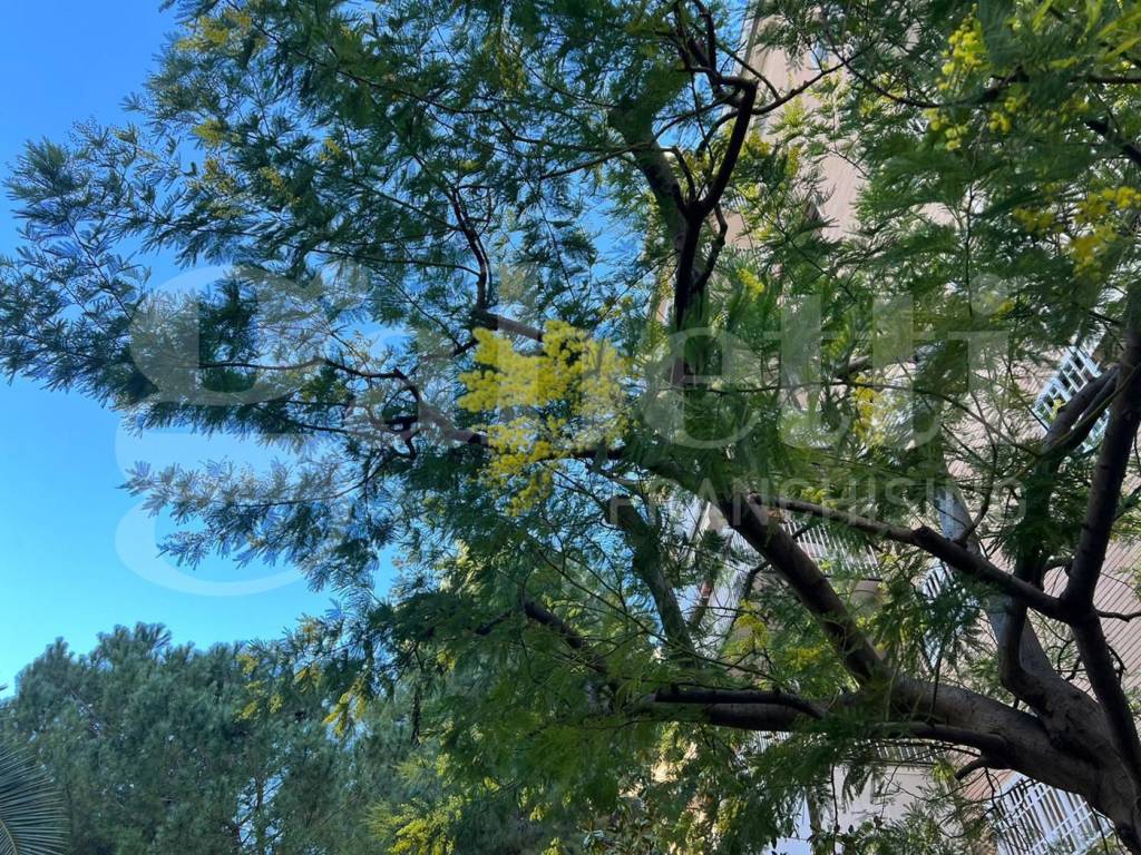 Appartamento a Bari in Viale J. K. Kennedy - Foto 4