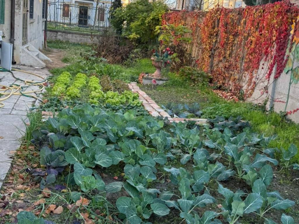 Villa a Rovigo in salara - Foto 4