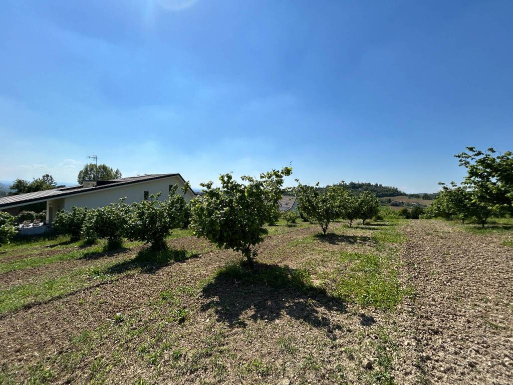 Terreno a Alessandria in Via Dazio, 53 - Foto 2