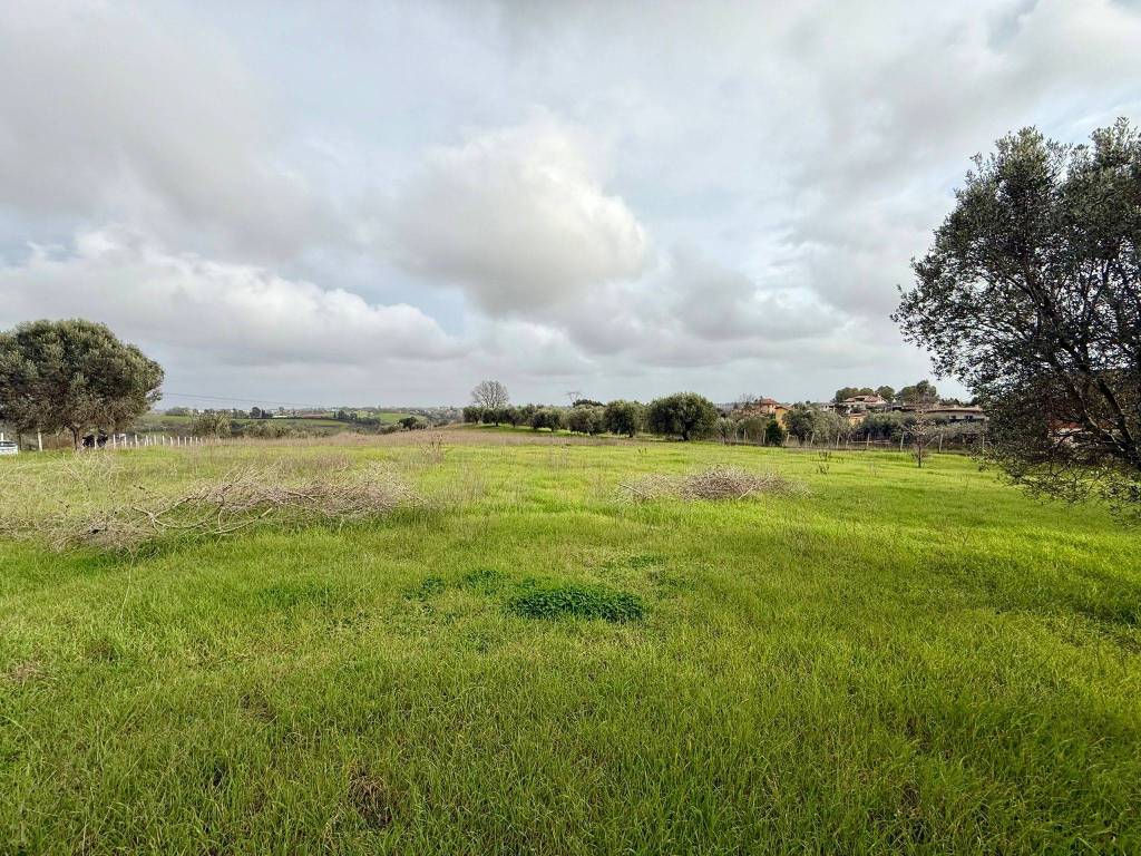 Terreno a Ardea in Via della Madonnina - Foto 2