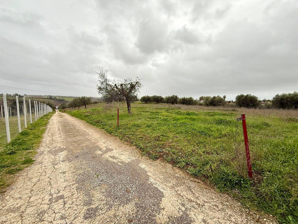 Terreno a Ardea in Via della Madonnina - Foto 3