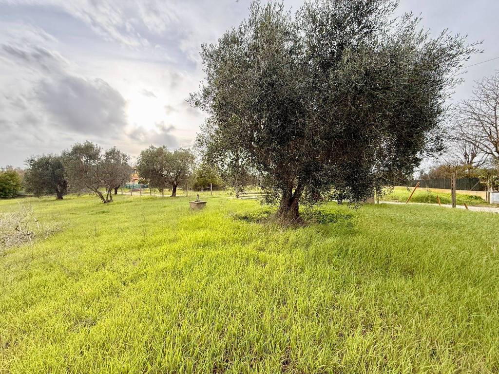 Terreno a Ardea in Via della Madonnina - Foto 5