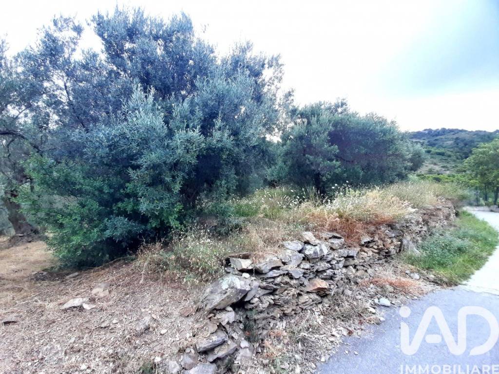 Terreno a Arnasco in Localita' Torricello - Foto 5