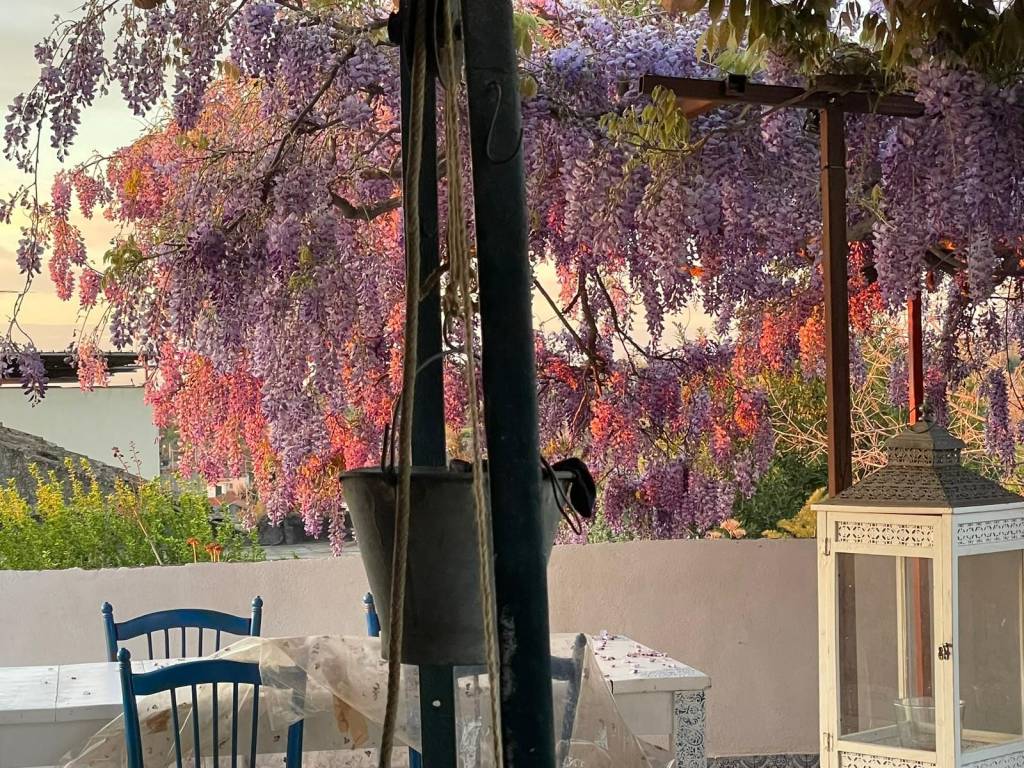 Villa a Santa venerina - Foto 3