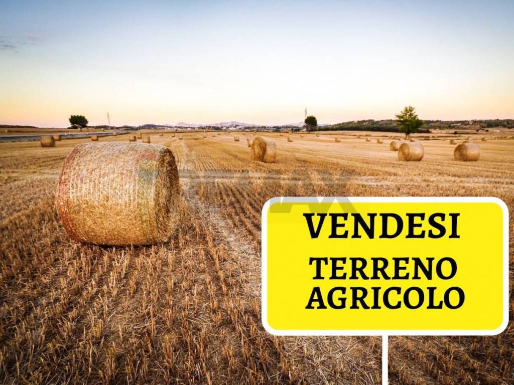Terreno a Rho in via trento, 68 - Foto 3