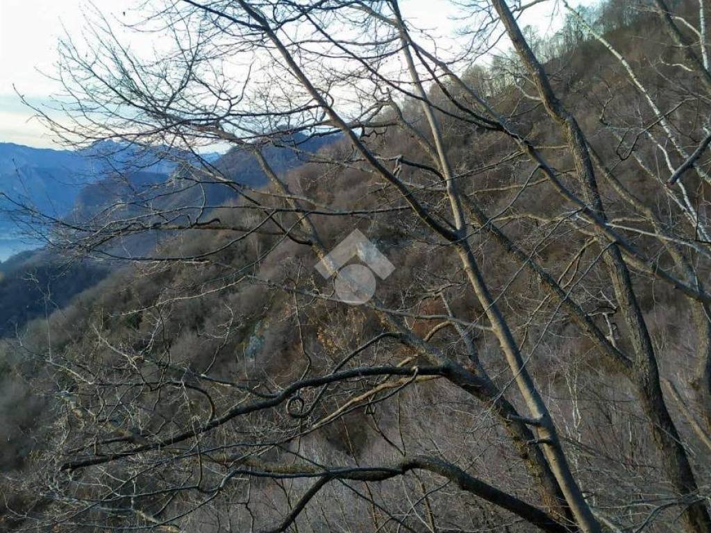 Immobile a Carenno in Via Camozza - Foto 4