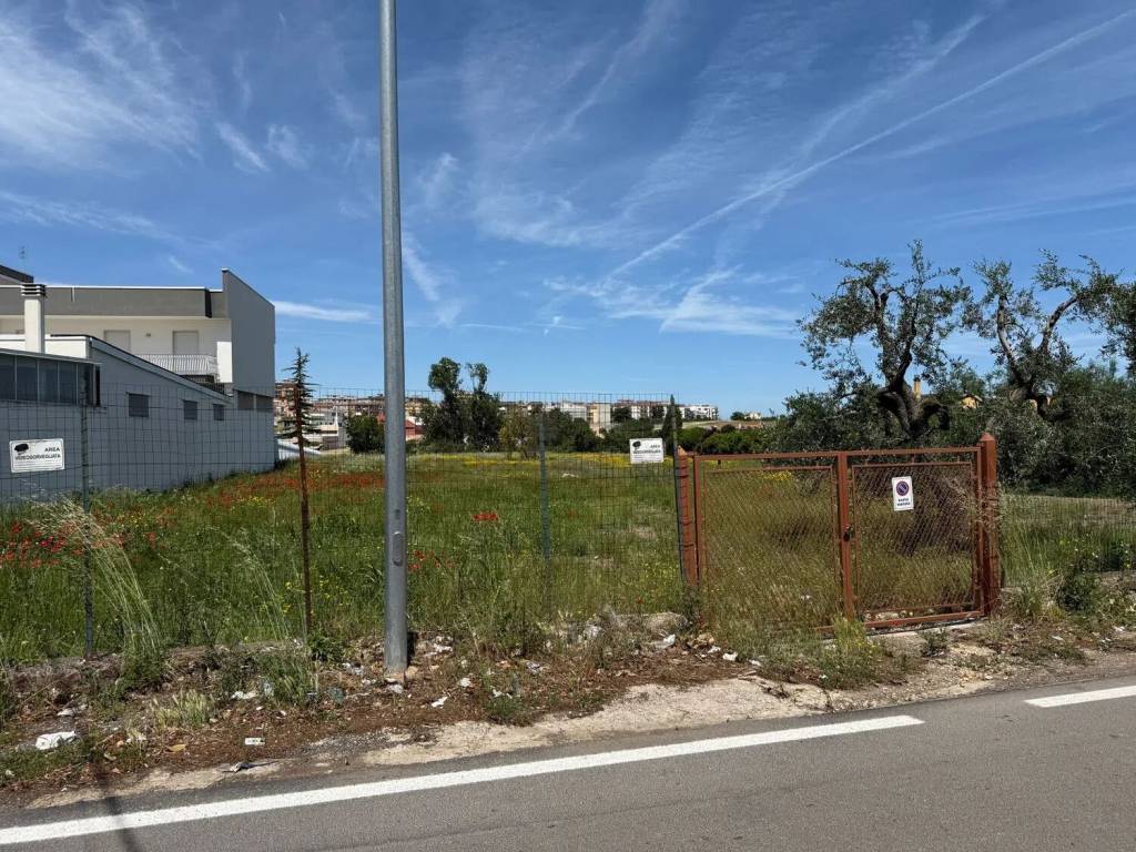 Terreno a Corato in Strada Provinciale 23 - Foto 2