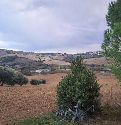 Rustico / casale a Montegranaro - Foto 5