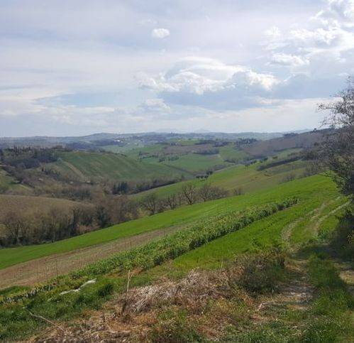 Rustico / casale a Monte san giusto - Foto 5