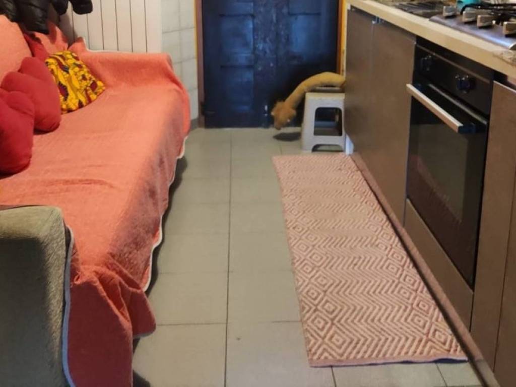 Villa a Santa giuletta - Foto 4