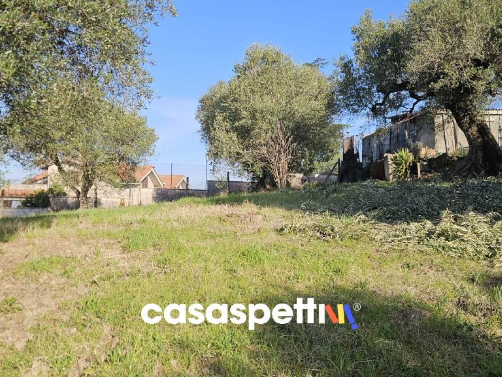 Terreno a Monterotondo in Via Montedoro - Foto 2