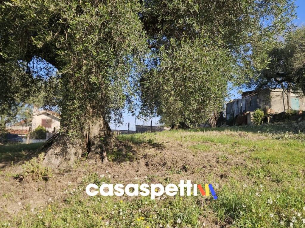 Terreno a Monterotondo in Via Montedoro - Foto 3