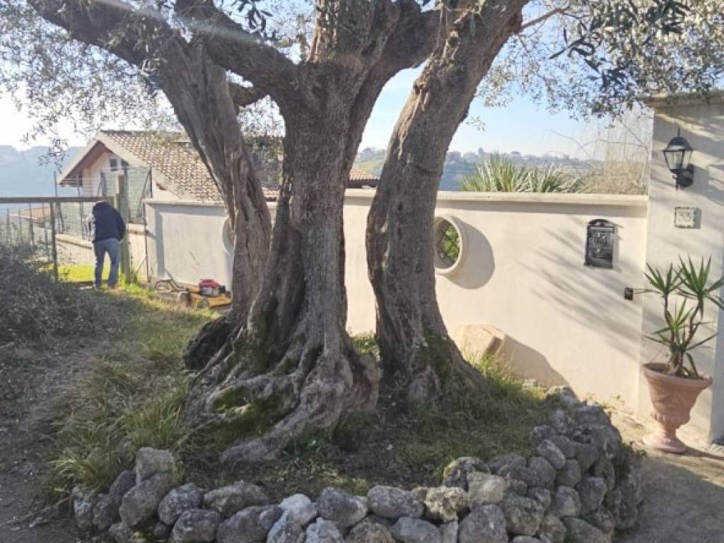 Terreno a Monterotondo in Via Montedoro - Foto 4