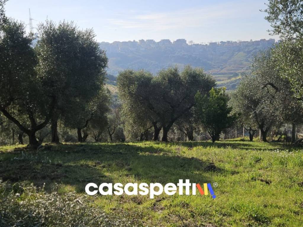 Terreno a Monterotondo in Via Montedoro - Foto 5