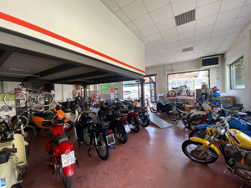 Immobile a Parma in Via Lucrezio Caro - Foto 5