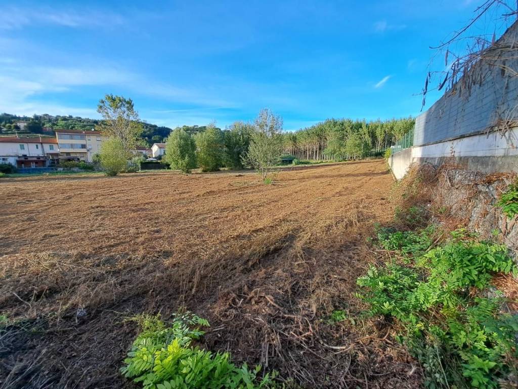 Terreno a Palaia - Foto 2