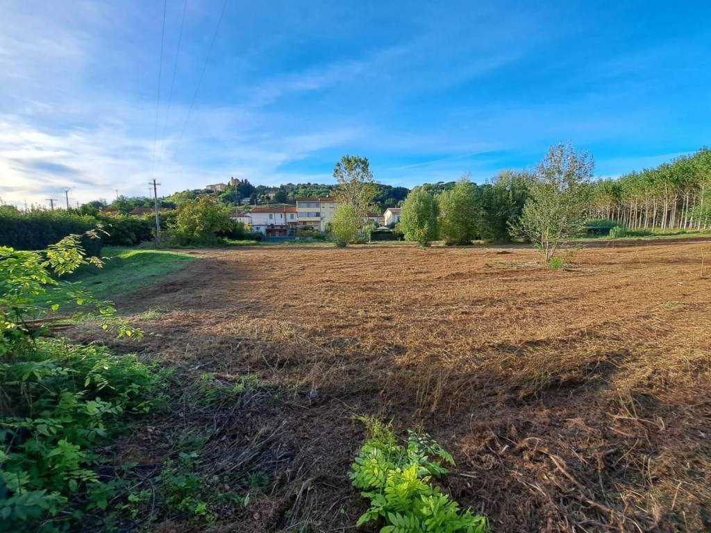 Terreno a Palaia - Foto 3