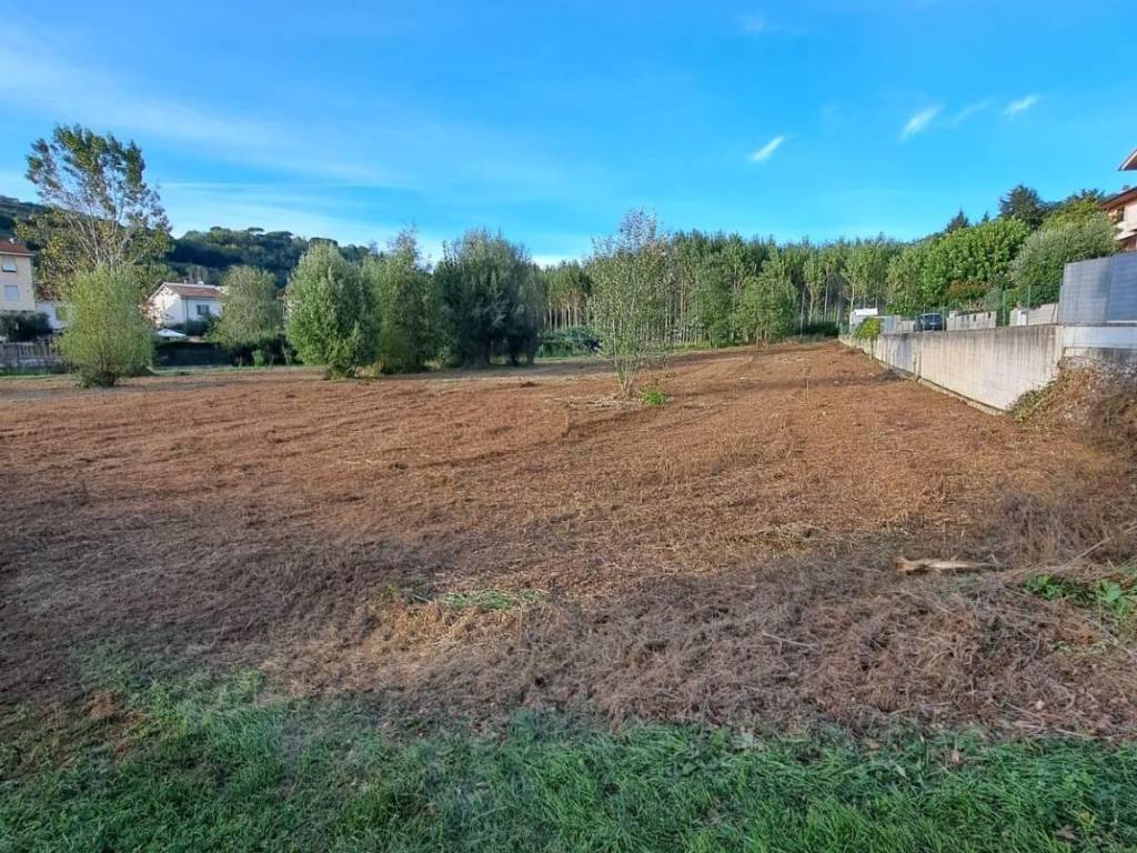 Terreno a Palaia - Foto 4