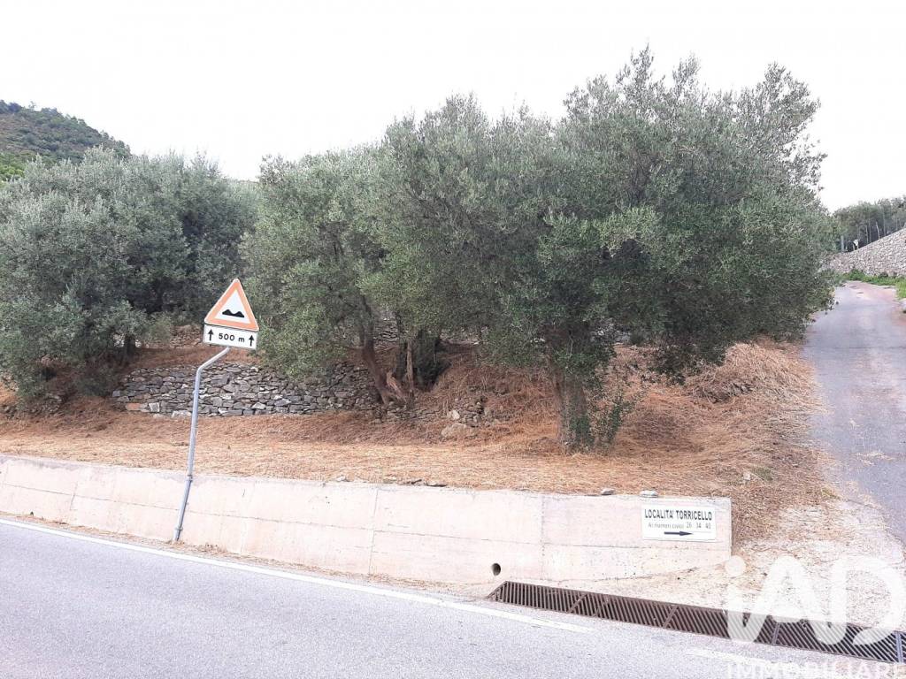 Terreno a Arnasco in Via Stefano Viaggio, 6 - Foto 4