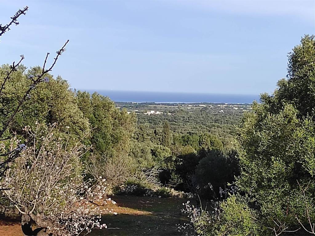 Villa a Carovigno in SS16 - Foto 2