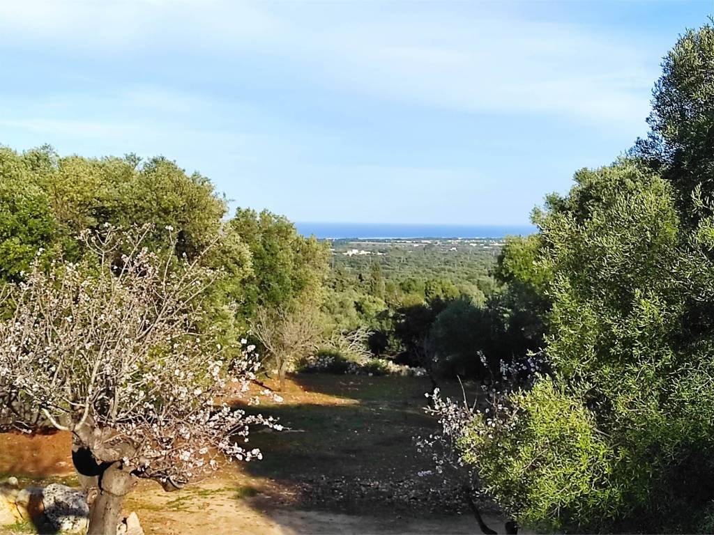 Villa a Carovigno in SS16 - Foto 4