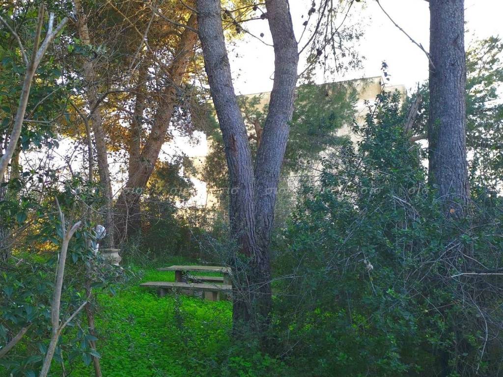 Terreno a Nardò in via Lissandri - Foto 3