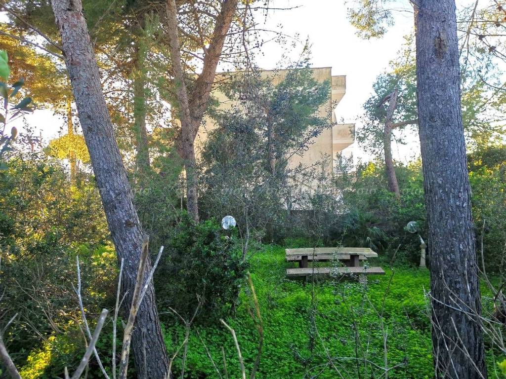 Terreno a Nardò in via Lissandri - Foto 4