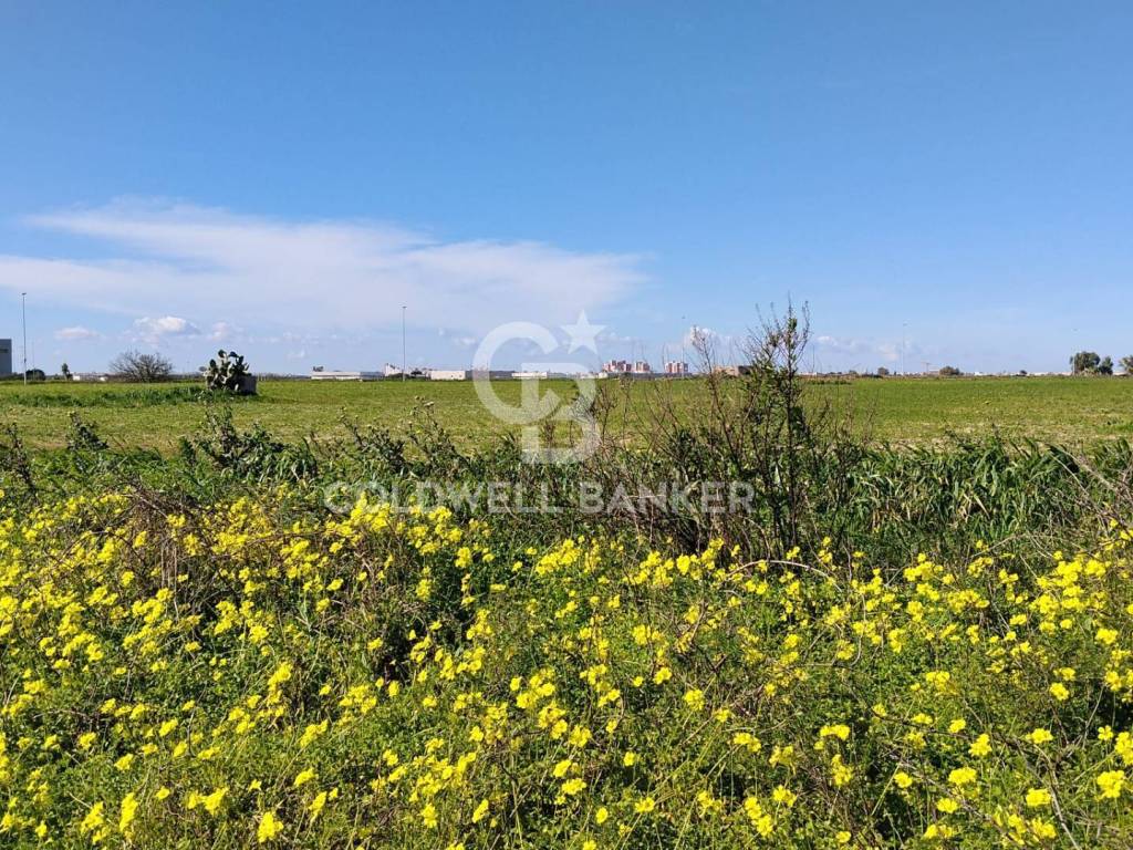 Terreno a Brindisi in Contrada Piccoli - Foto 2