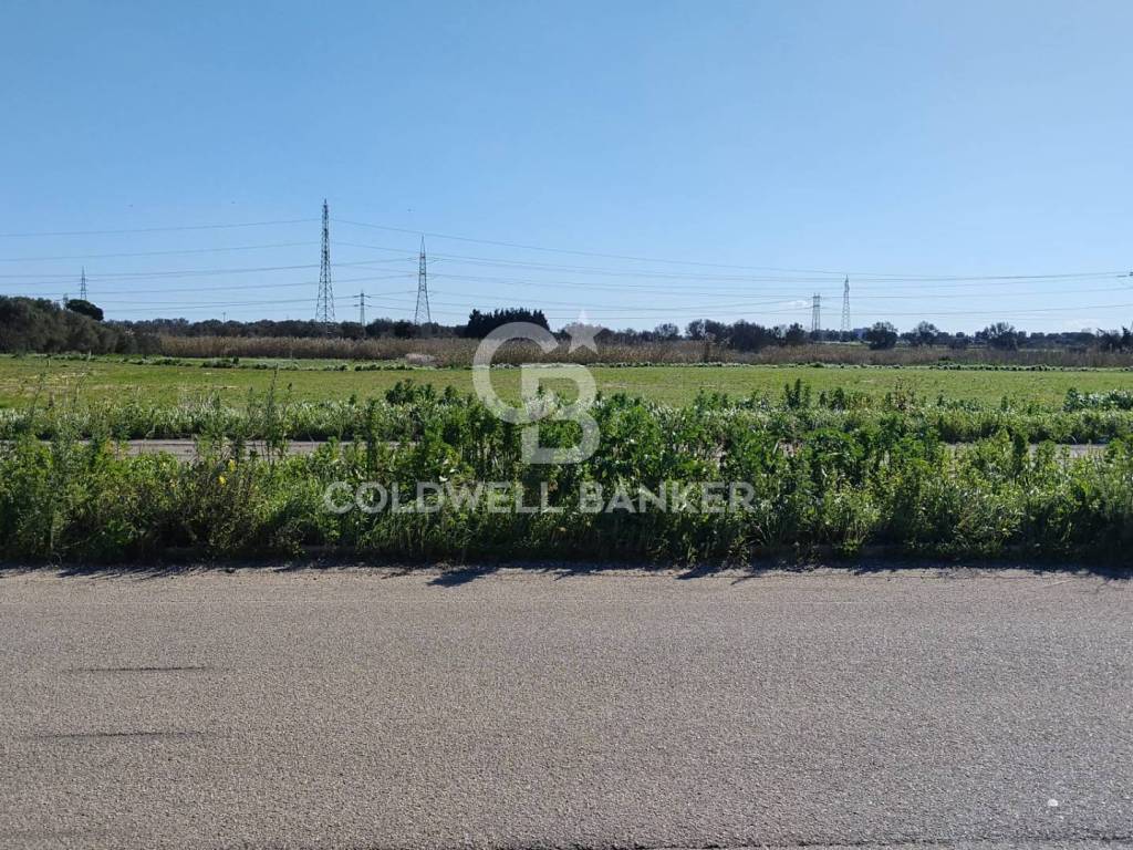 Terreno a Brindisi in Contrada Piccoli - Foto 3