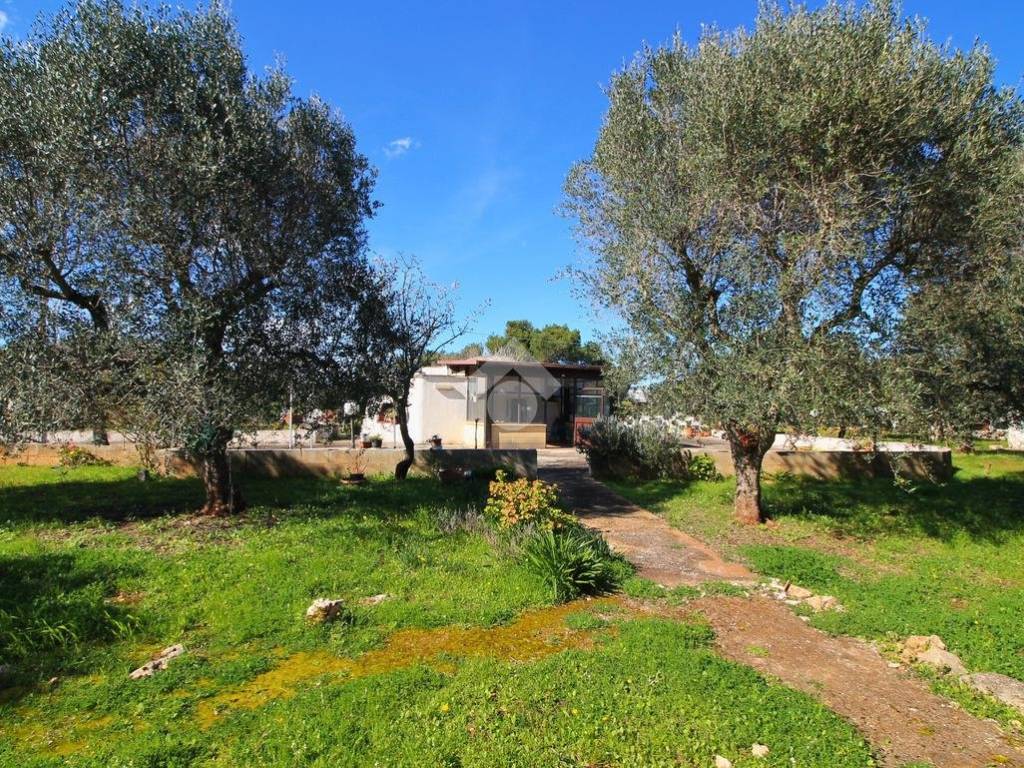 Rustico / casale a Ostuni - Foto 2