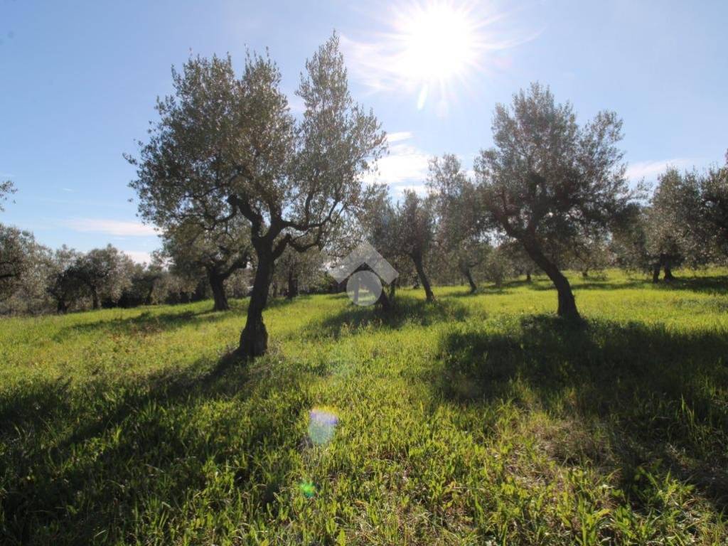 Terreno a Ortona in Via Valle Secca - Foto 2