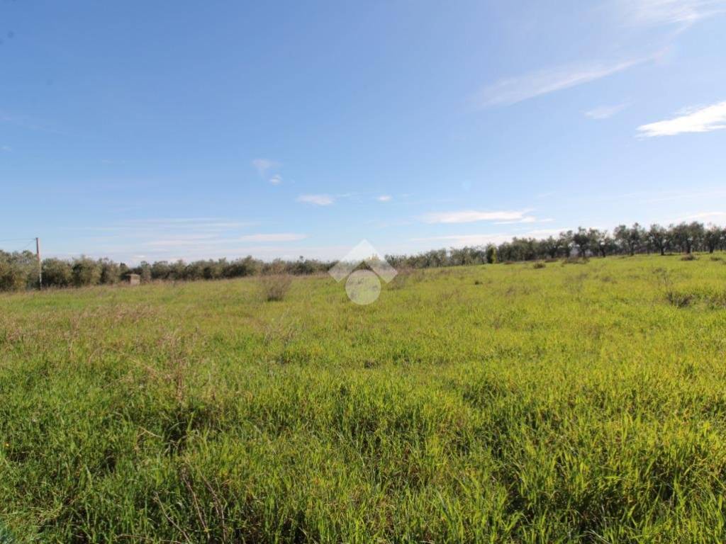 Terreno a Ortona in Via Valle Secca - Foto 5