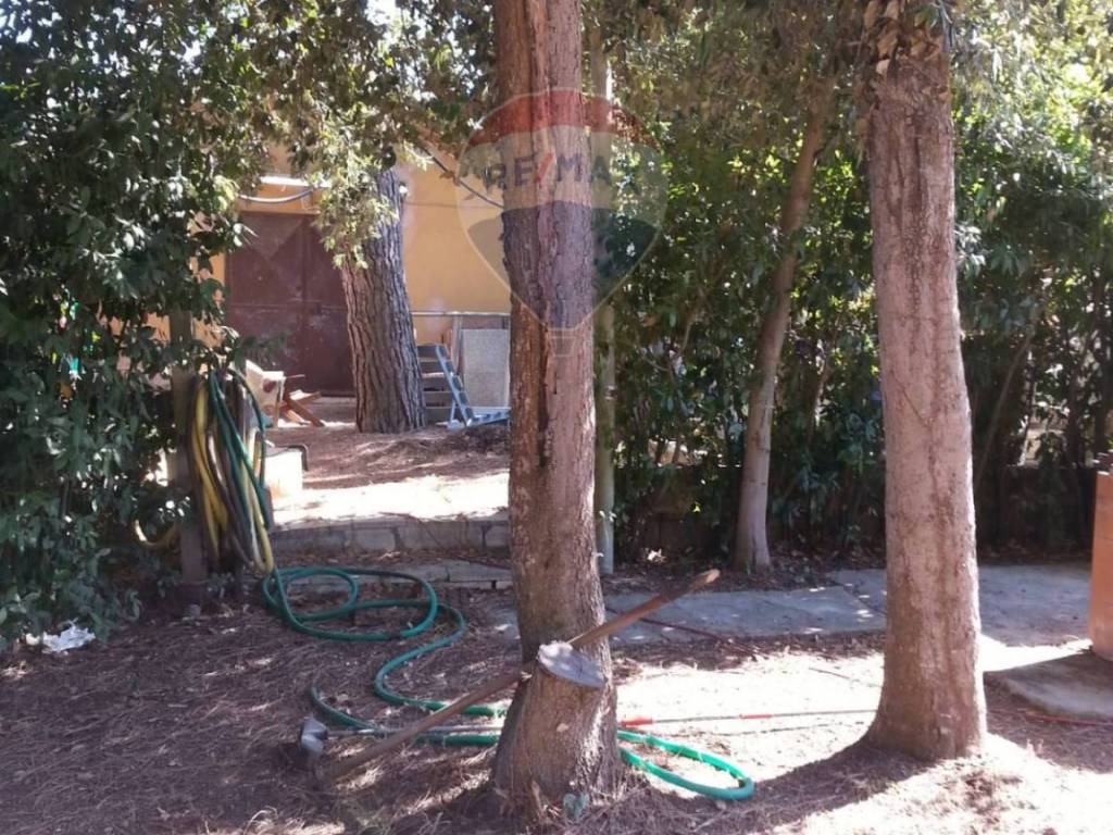 Appartamento a Piombino - Foto 2