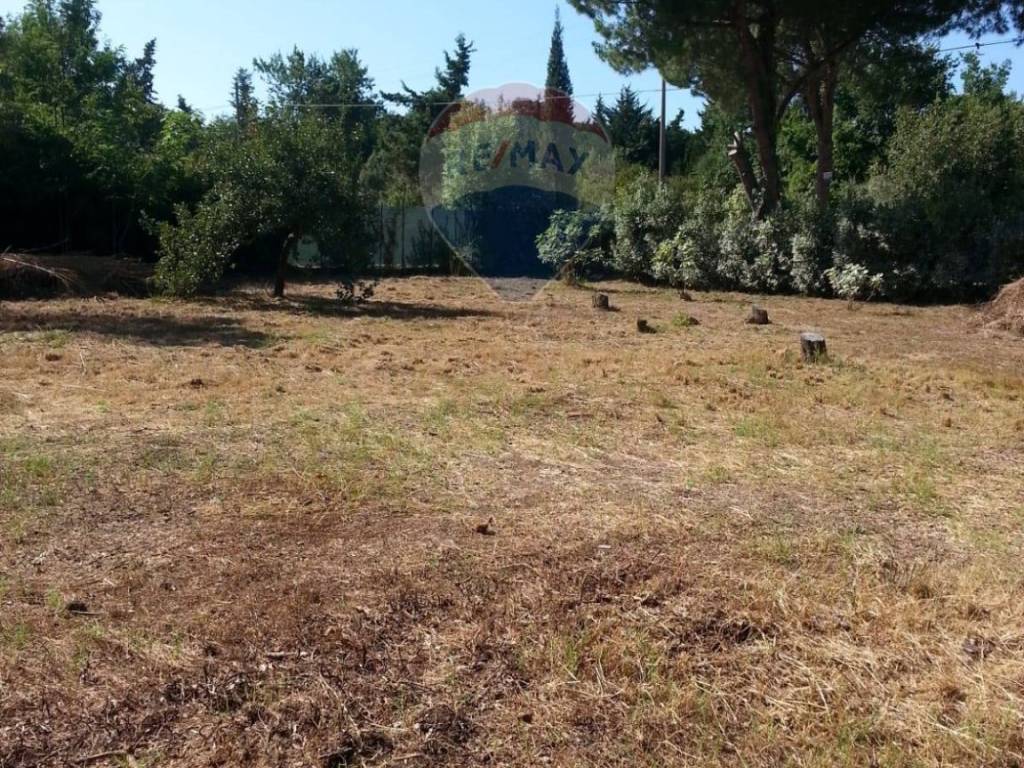 Appartamento a Piombino - Foto 4