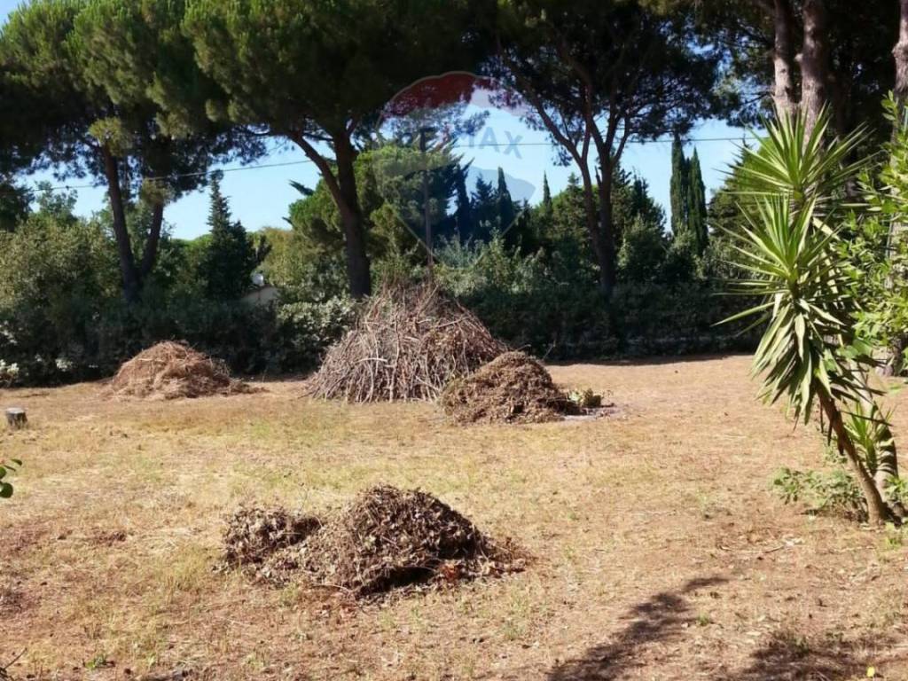 Appartamento a Piombino - Foto 5