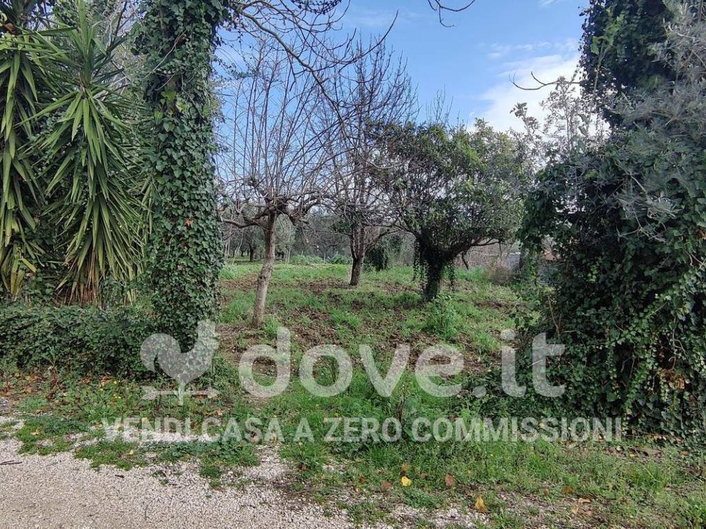 Rustico / casale a Scerni in Contrada Colle Breccioli, 24 - Foto 5