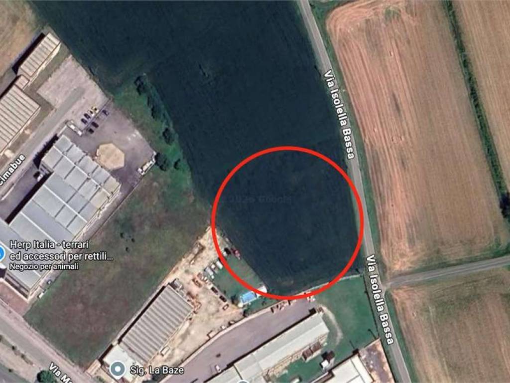 Terreno a Cerea - Foto 3