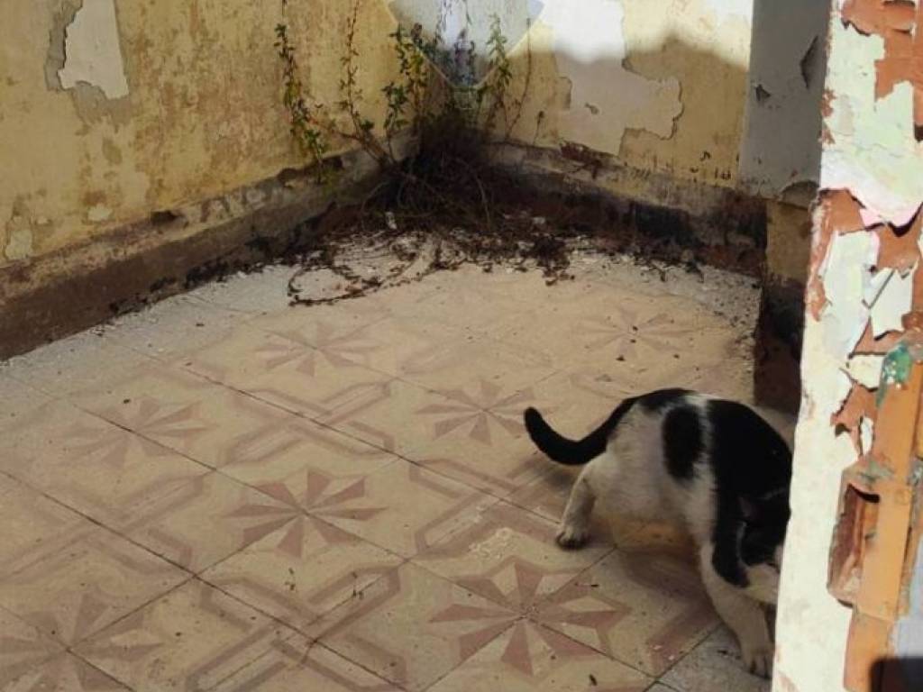 Rustico / casale a Monreale - Foto 5