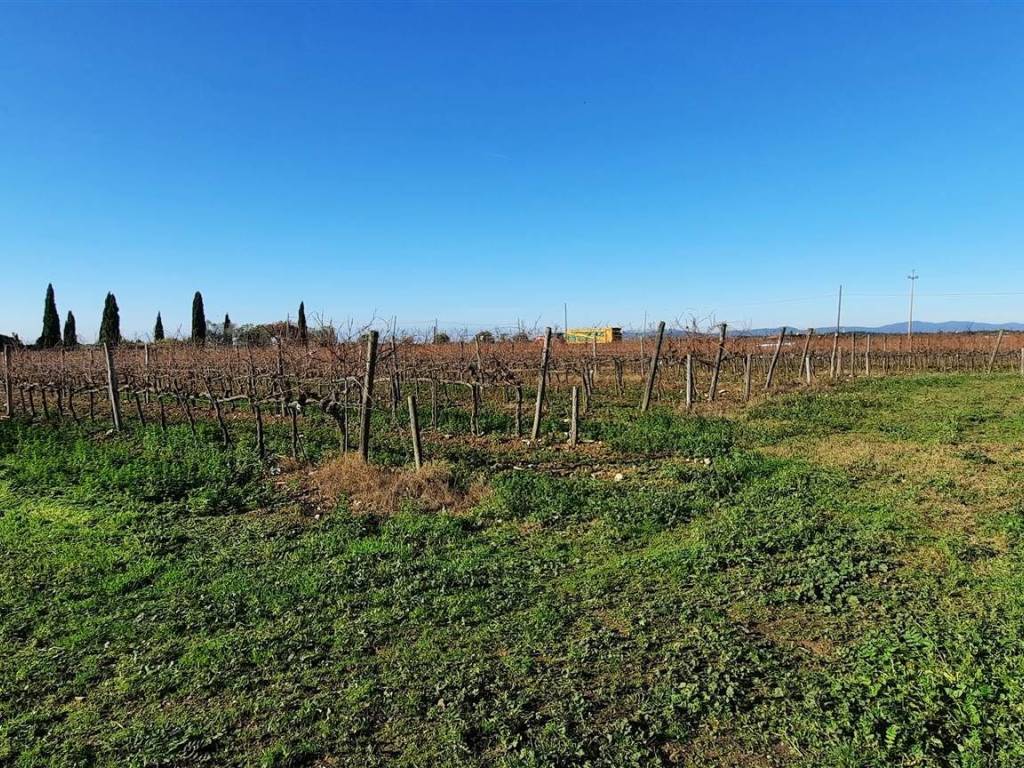 Rustico / casale a Magliano in toscana - Foto 3