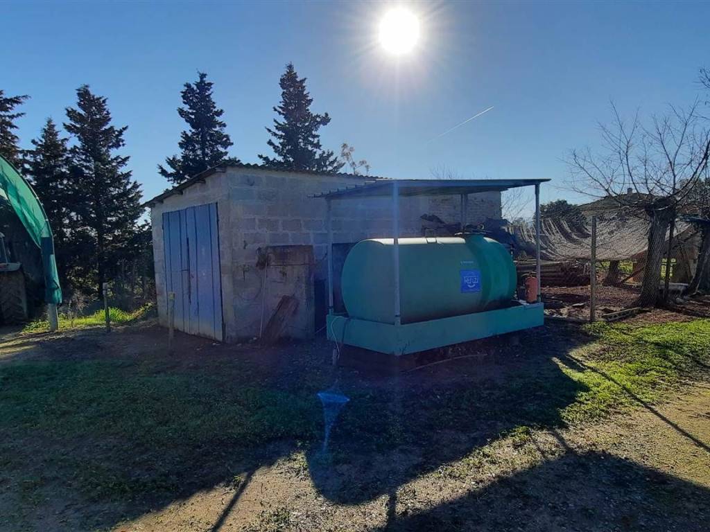 Rustico / casale a Magliano in toscana - Foto 4