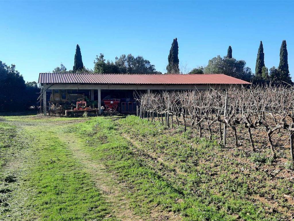 Rustico / casale a Magliano in toscana - Foto 5