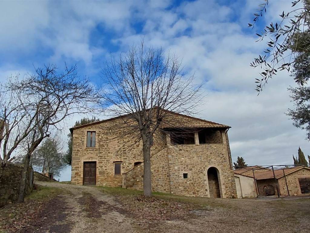 Rustico / casale a Montalcino - Foto 2
