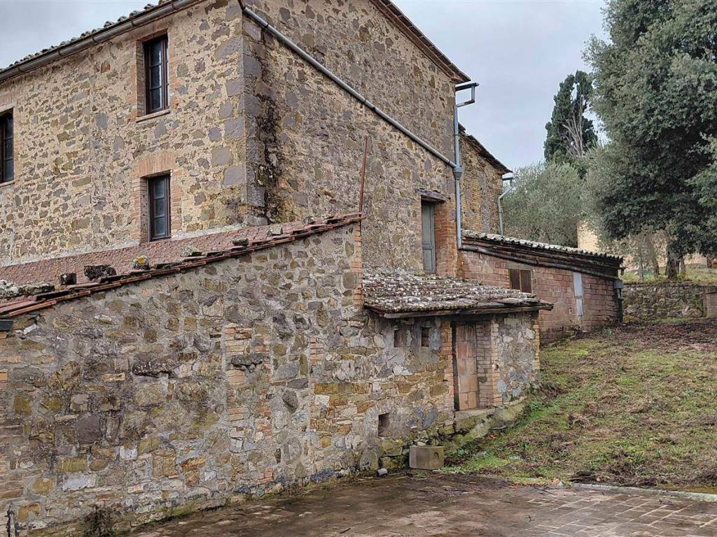 Rustico / casale a Montalcino - Foto 5