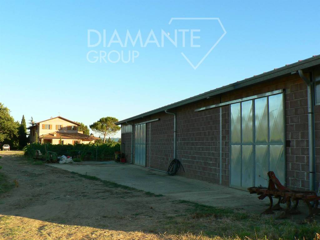 Terreno a Castiglione del lago - Foto 2