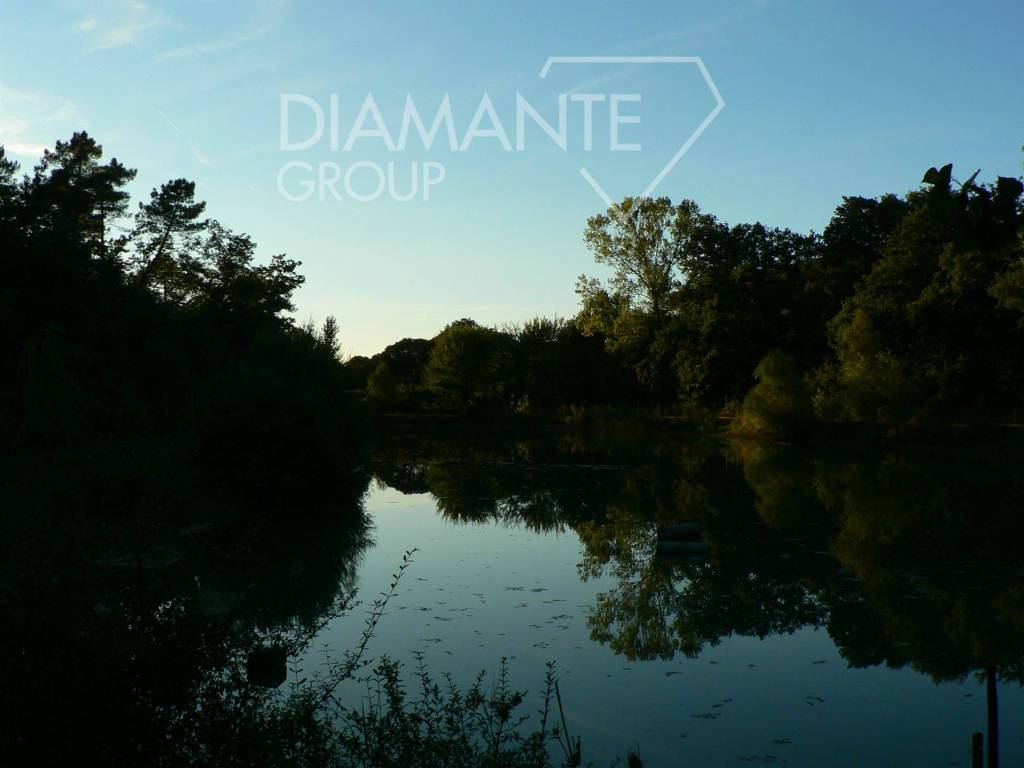 Terreno a Castiglione del lago - Foto 4