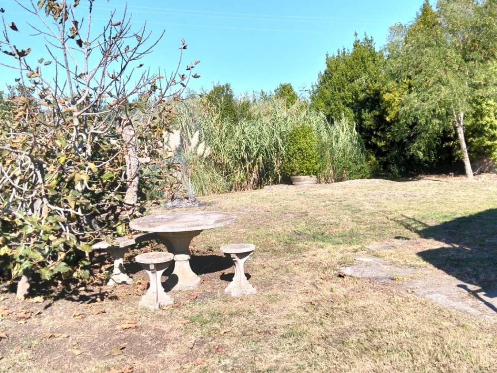 Rustico / casale a Rosignano marittimo in Stradone del Pipistrello, 105 - Foto 5