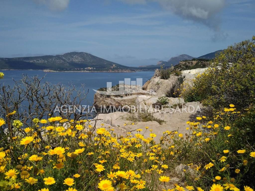 Villa a Alghero - Foto 5