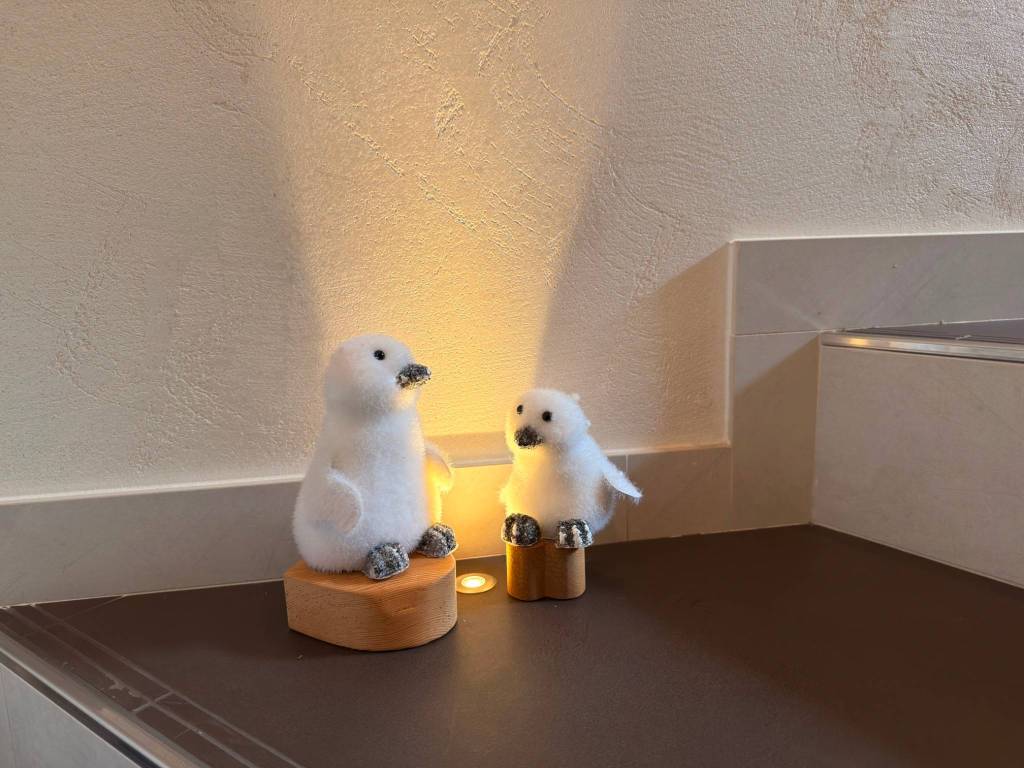 Appartamento a Cavalese - Foto 2