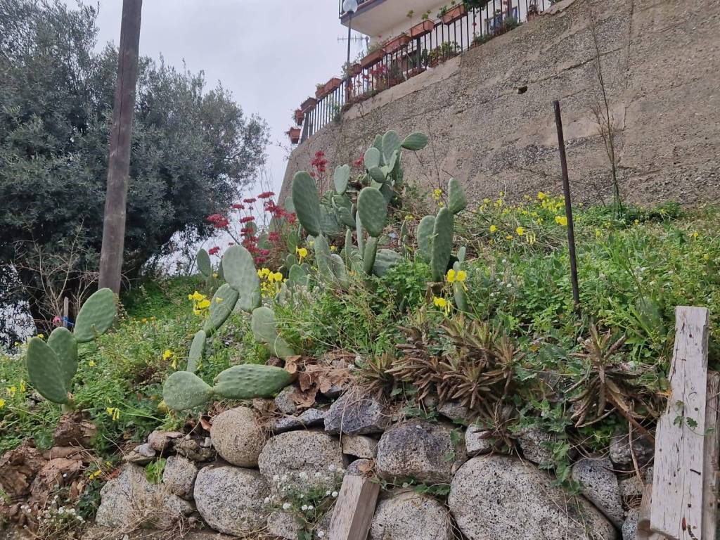 Terreno a Roccella ionica in Via Carrubaro - Foto 2