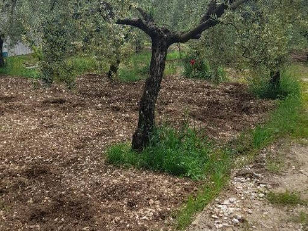 Terreno a Formia in Via Pella - Foto 2